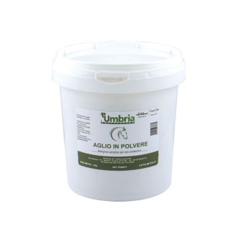 AMA GARLIC POWDER GARLIC POWDER (1 KG)