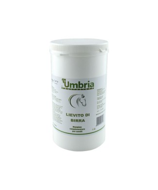 AMA YEAST BREWER'S YEAST (1 KG)