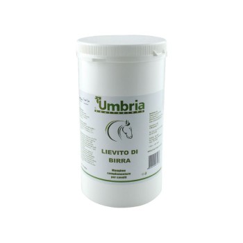 AMA YEAST BREWER'S YEAST (1 KG)