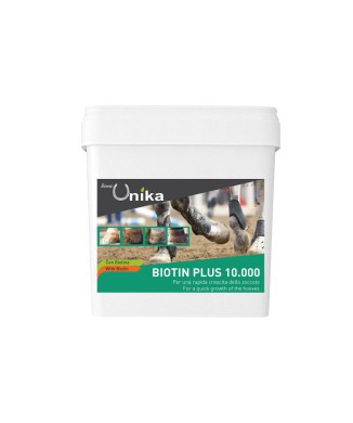 BIOTIN PLUS 10,000 (1 KG) LU0005