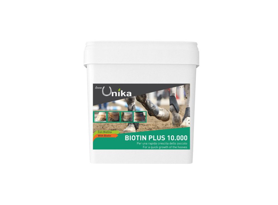 BIOTIN PLUS 10,000 (1 KG) LU0005