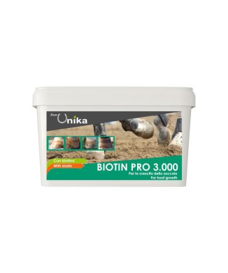 BIOTIN PRO 3000 (1 KG)