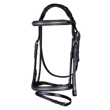 Clincher bridle