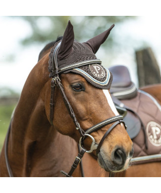 Silver Clincher Bridle PROMO