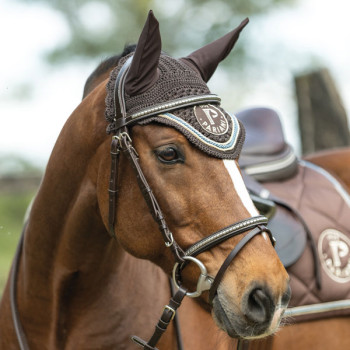 Silver Clincher Bridle PROMO