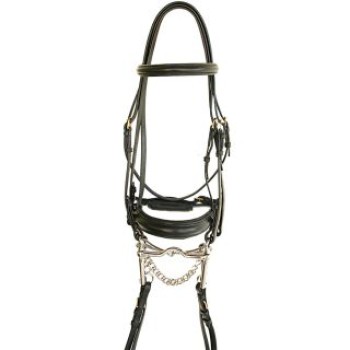 Daslö bridle