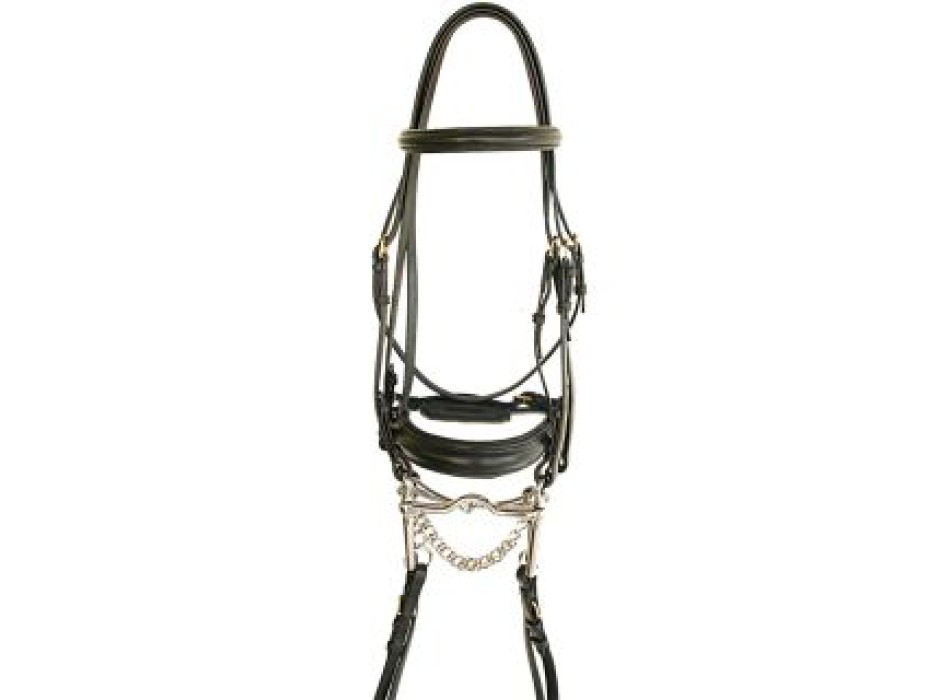 Daslö bridle