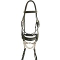 Daslö bridle