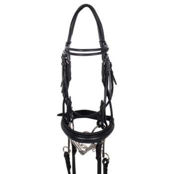 DRESSAGE DOUBLE ROUND BROWBAND