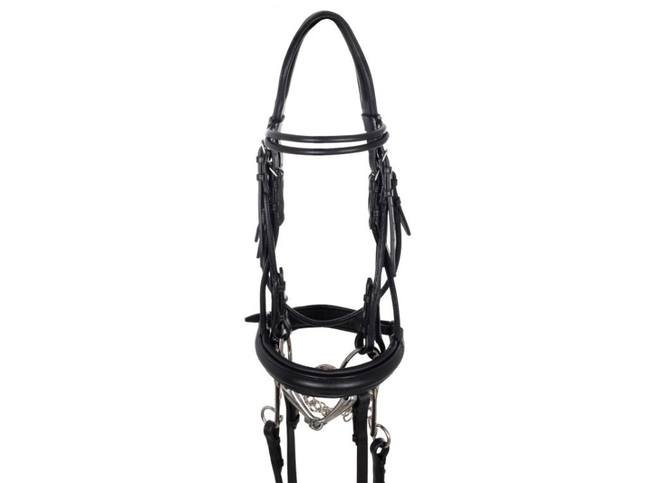 DRESSAGE DOUBLE ROUND BROWBAND