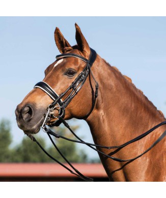 GIOCONDA CALFSKIN BRIDLE WITH DOUBLE REINS