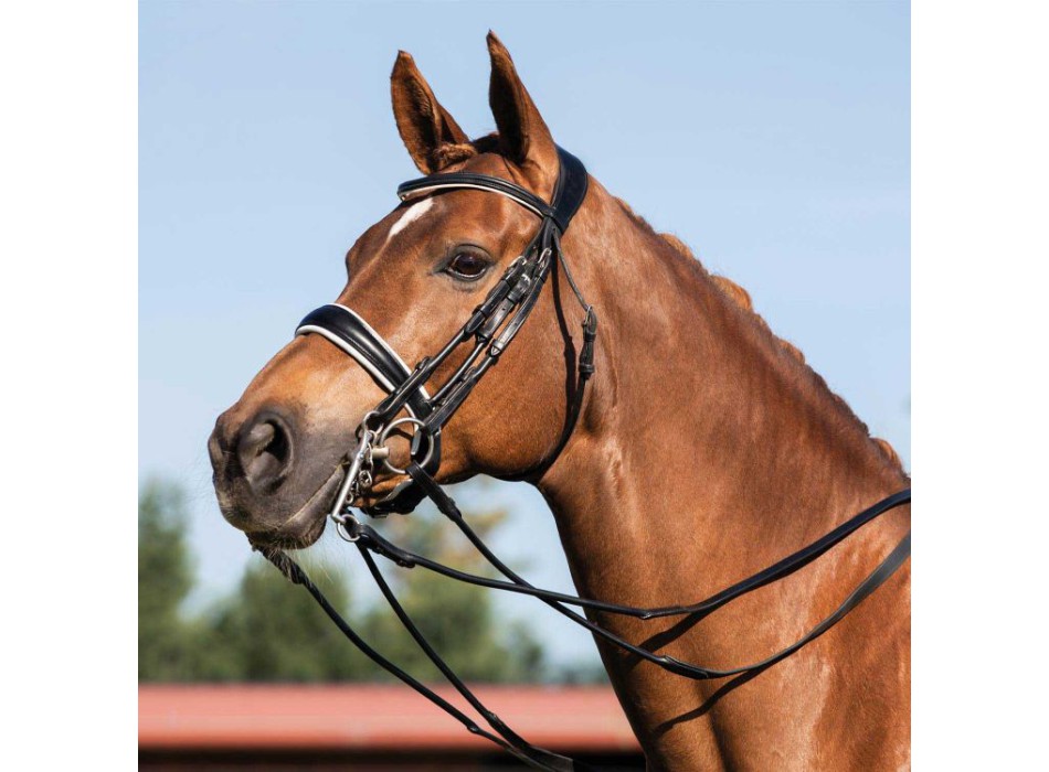 GIOCONDA CALFSKIN BRIDLE WITH DOUBLE REINS