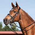 GIOCONDA CALFSKIN BRIDLE WITH DOUBLE REINS