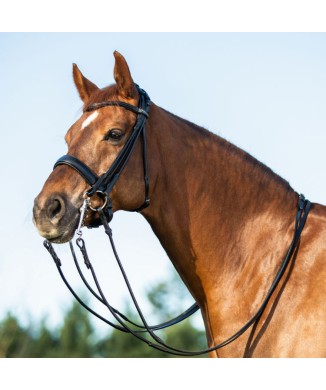 PARNASUS BRIDLE WITH DOUBLE REINS