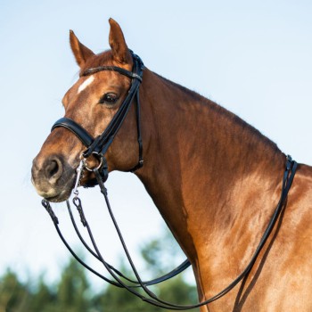 PARNASUS BRIDLE WITH DOUBLE REINS