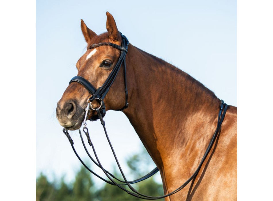 PARNASUS BRIDLE WITH DOUBLE REINS