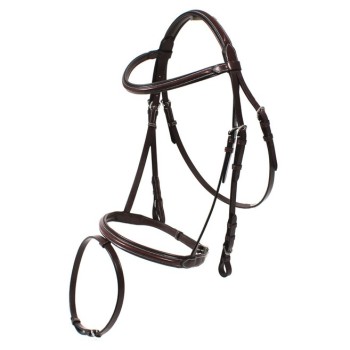 Sports bridle