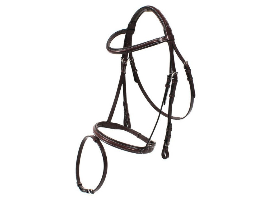 Sports bridle