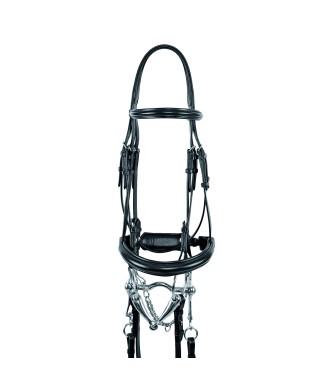 SUPREME DRESSAGE BIT/BITCH BRIDLE