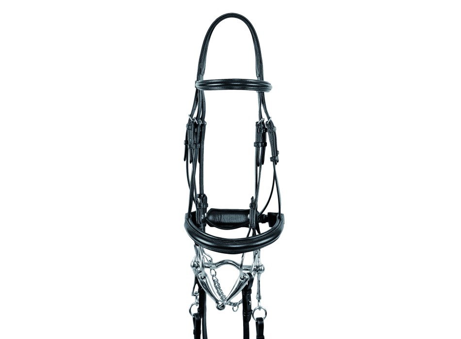 SUPREME DRESSAGE BIT/BITCH BRIDLE