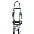 SUPREME DRESSAGE BIT/BITCH BRIDLE