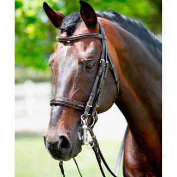 Tattini bridle for bit and snaffle