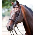 Tattini bridle for bit and snaffle