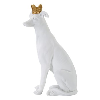 DOG WITH WHITE CROWN