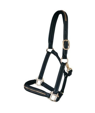 Brass Clincher Halter PROMO