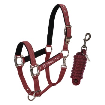 DOUBLE ADJUSTABLE PADDED HALTER