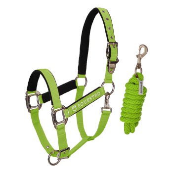 DOUBLE ADJUSTABLE PADDED HALTER