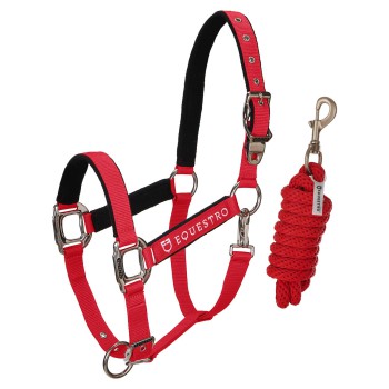 DOUBLE ADJUSTABLE PADDED HALTER