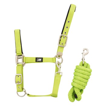 NYLON HALTER + BRAIDED LEAD