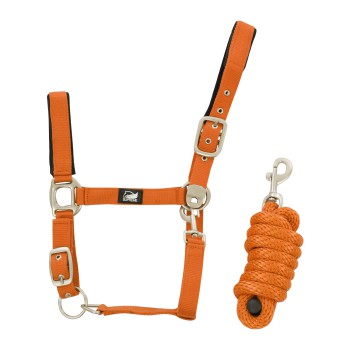 NYLON HALTER + BRAIDED LEAD