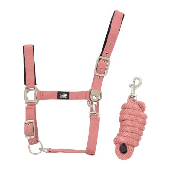 NYLON HALTER + BRAIDED LEAD