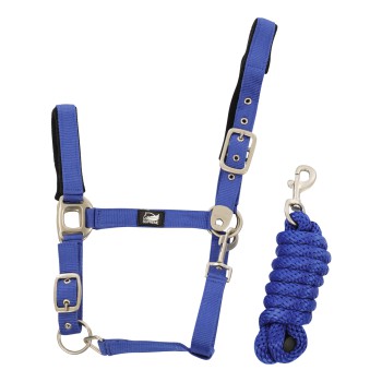 NYLON HALTER + BRAIDED LEAD