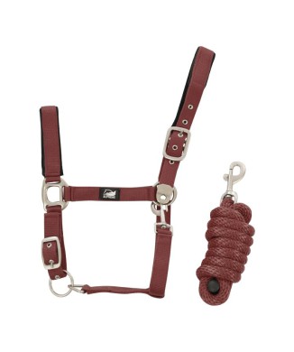 NYLON HALTER + BRAIDED LEAD