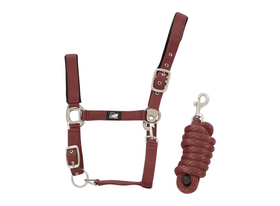 NYLON HALTER + BRAIDED LEAD