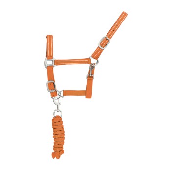 NYLON HALTER W/LONG REFLECTIVE MODEL