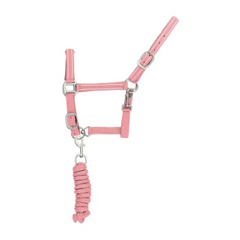 NYLON HALTER W/LONG REFLECTIVE MODEL