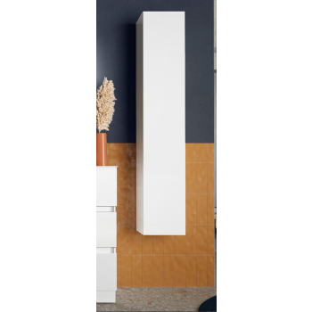 Tall unit 1 door 25x138x26 START