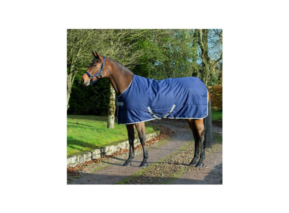 FREEDOM STABLE 300 BLANKET