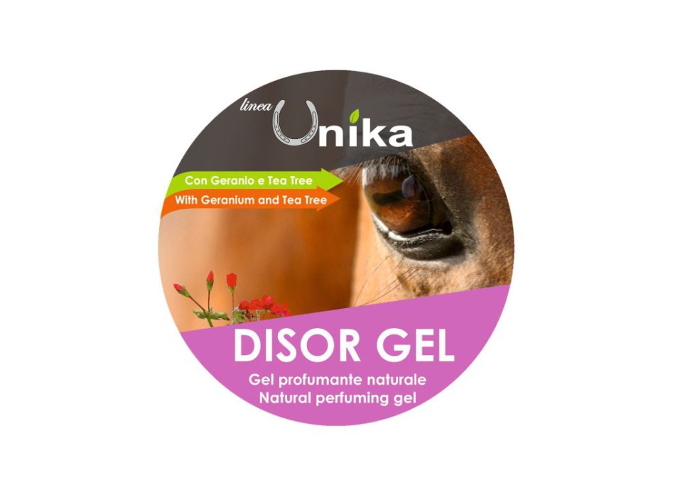 DISOR GEL (500 GR) LU0086