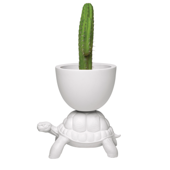 TURTLE CARRY PLANTER AND CHAMPAGNE COOLER 36004 QEEBOO