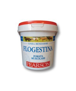 Flogestina pearson muscle ointment gr. 1500