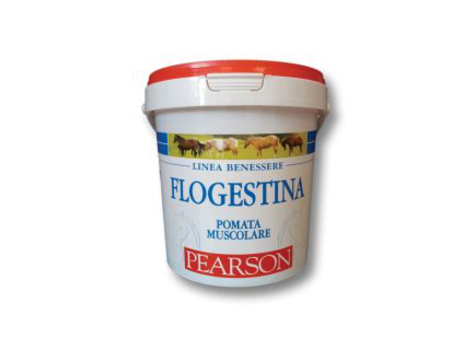 Flogestina pearson muscle ointment gr. 1500