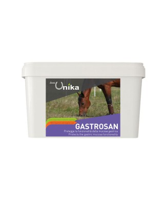 GASTROSAN (1.5 KG) LU0027