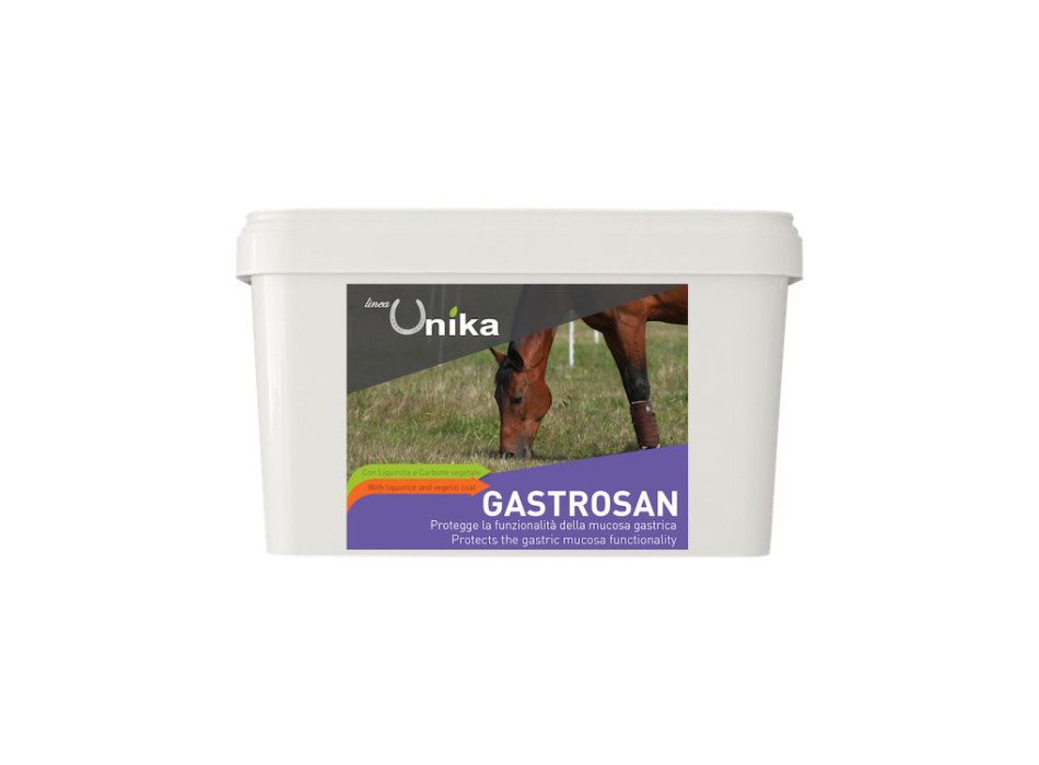 GASTROSAN (1.5 KG) LU0027