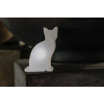 Luminous Cat Micro USB-C 32605 8 Seasons Design