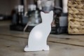 Luminous Cat Micro USB-C 32605 8 Seasons Design